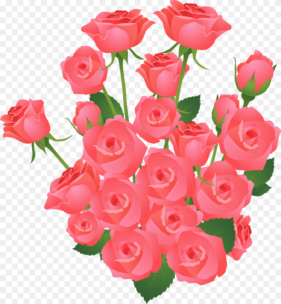 Roses Bouquet Clipart, Flower, Plant, Rose, Petal Png