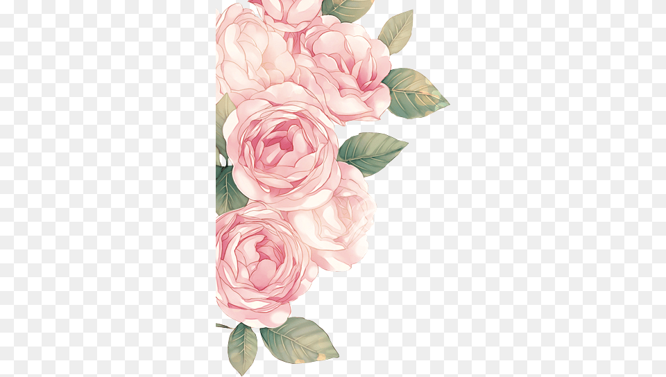 Roses By Dothenyancat Rozovie Cveti Akvarel, Art, Floral Design, Flower, Graphics Free Transparent Png