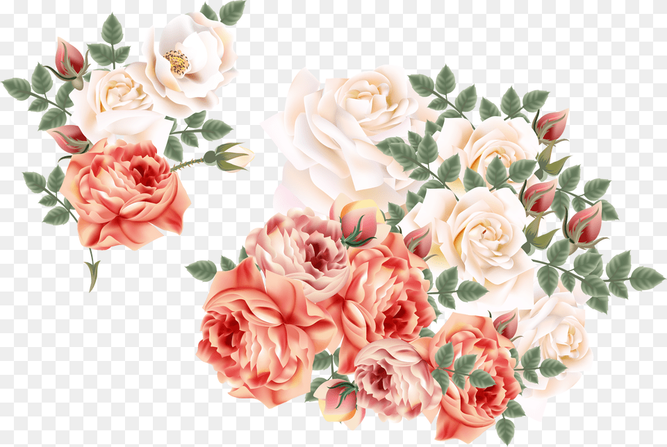 Roses Centifolia Euclidean Hand Rose, Art, Floral Design, Flower, Graphics Png Image