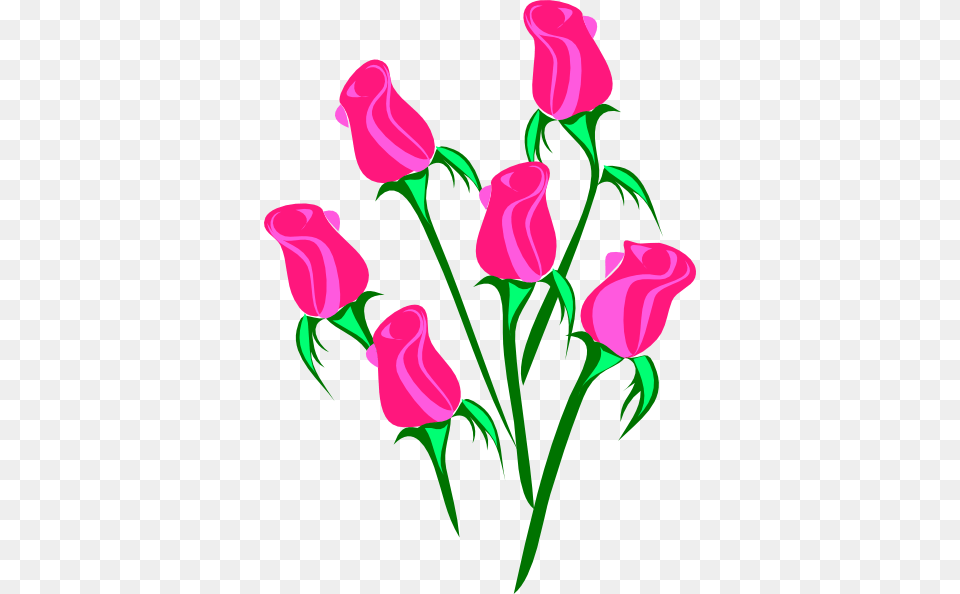 Roses Clip Art, Flower, Graphics, Plant, Rose Free Png Download