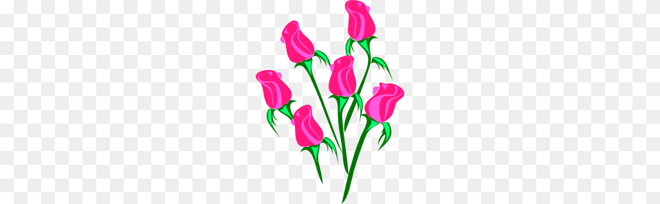 Roses Clip Art, Flower, Graphics, Plant, Rose Free Transparent Png