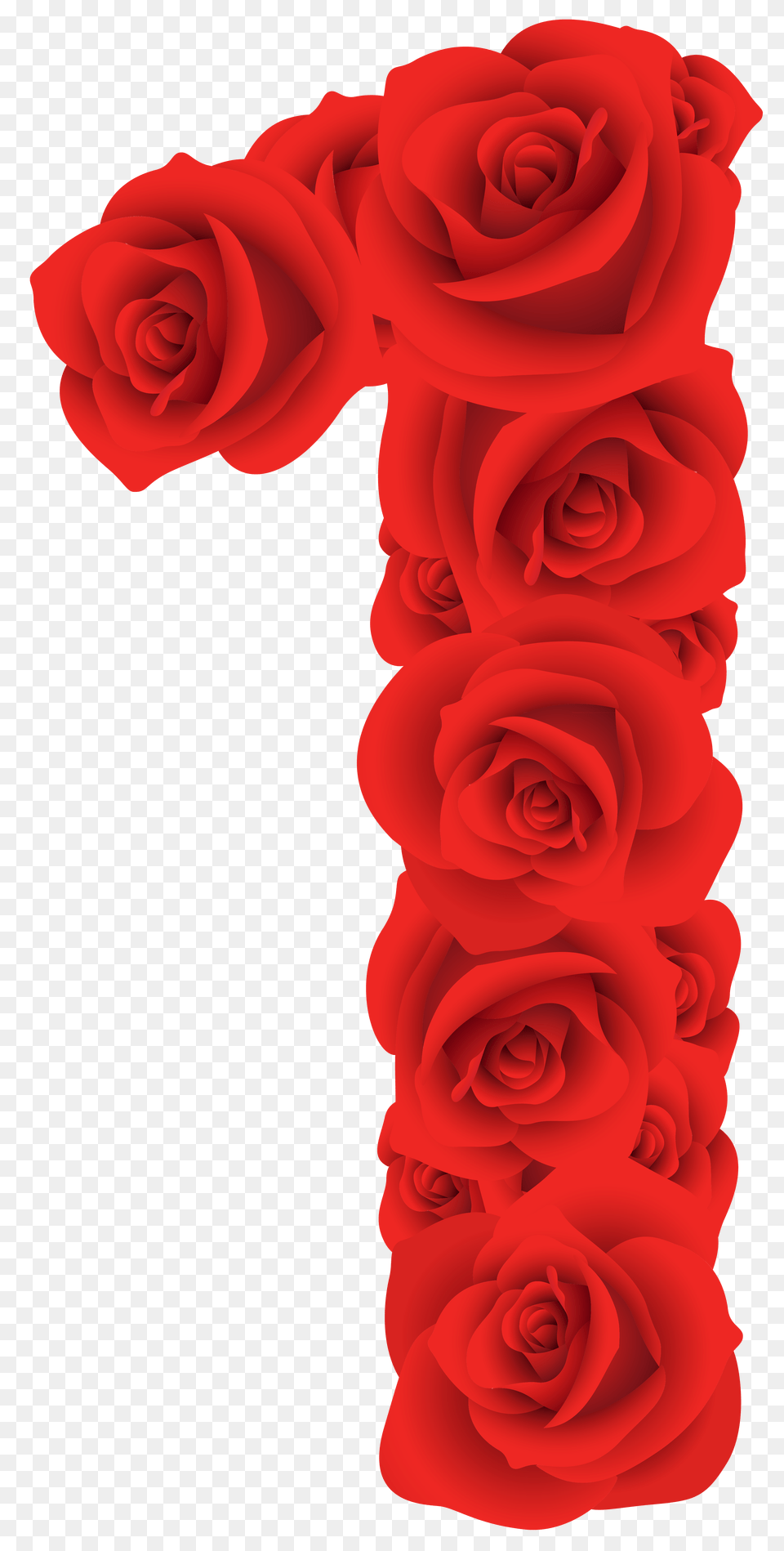 Roses Clip Art Clipart, Flower, Plant, Rose, Formal Wear Png Image