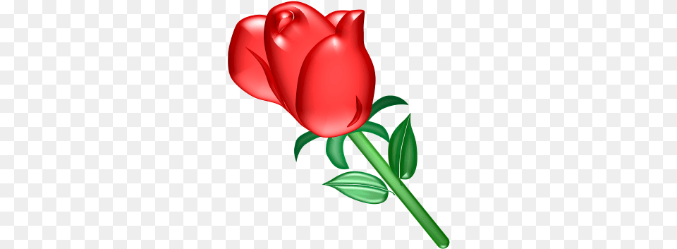 Roses Clip Art Red Rose, Flower, Plant, Tulip, Food Png Image