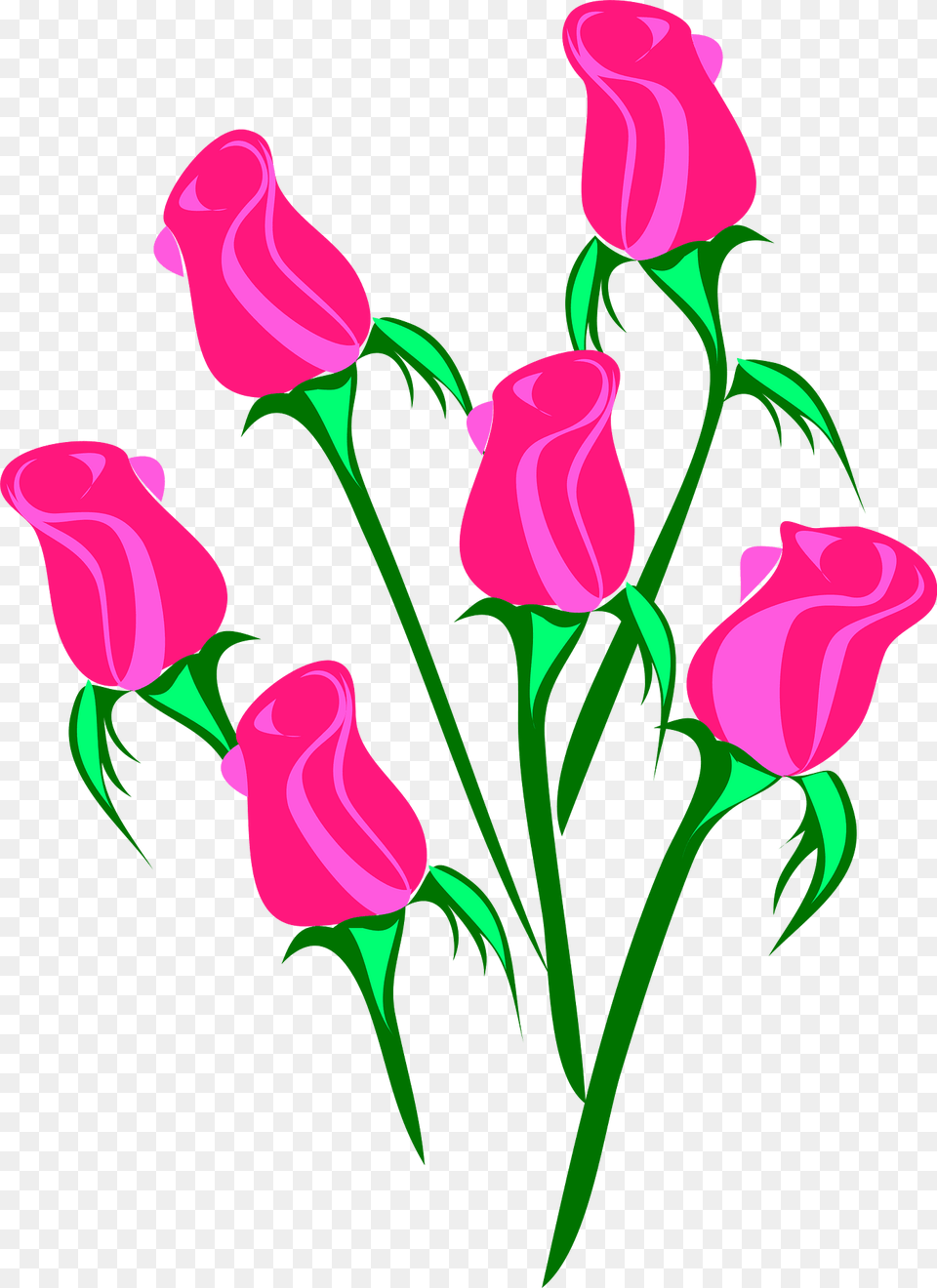 Roses Clipart, Flower, Plant, Art, Graphics Png Image