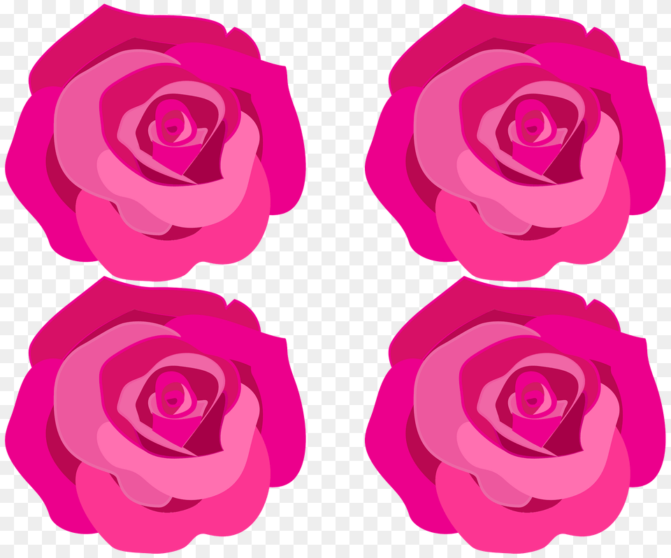 Roses Clipart, Flower, Plant, Rose, Petal Png Image