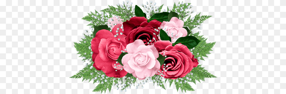 Roses Clipart Images Frame With Flower In, Flower Arrangement, Flower Bouquet, Plant, Rose Free Png