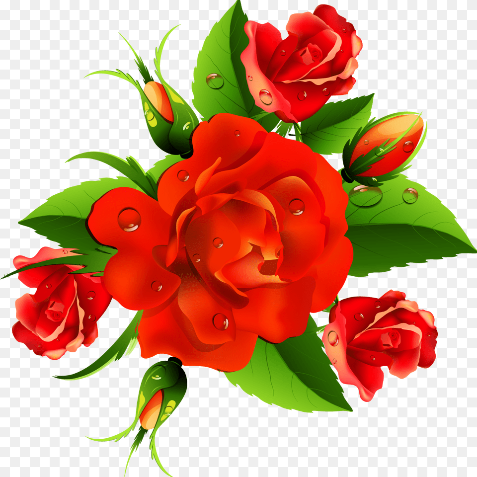 Roses Clipart Red And Green Rose, Flower, Flower Arrangement, Flower Bouquet, Plant Free Png