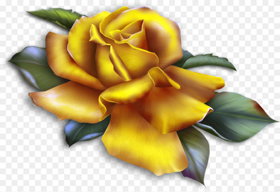 Roses Clipart Yellow, Flower, Plant, Rose, Petal Free Transparent Png