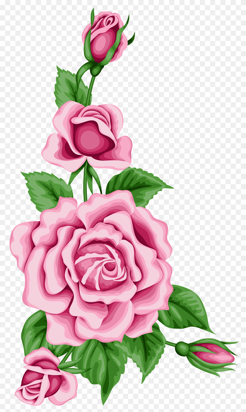 Roses Decoration Clipart, Flower, Plant, Rose, Art Free Png Download