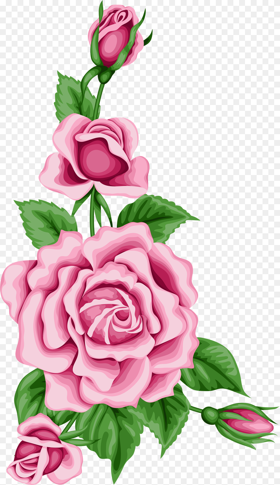 Roses Decoration Clipart Image Flower Rose Flower Border Clipart, Art, Graphics, Plant, Pattern Free Transparent Png