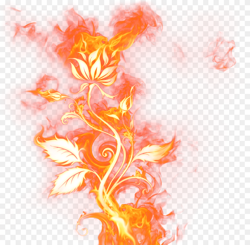 Roses Fire Free Transparent Png
