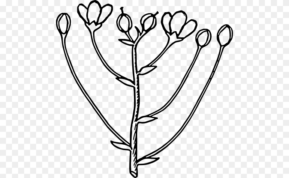 Roses Flower Arrangement Clip Art Vector, Bud, Leaf, Plant, Sprout Free Png