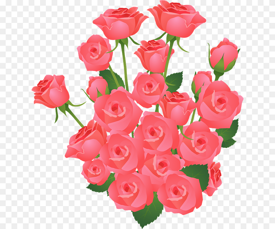 Roses Flower Bouquet Clipart, Plant, Rose, Petal, Flower Arrangement Free Png