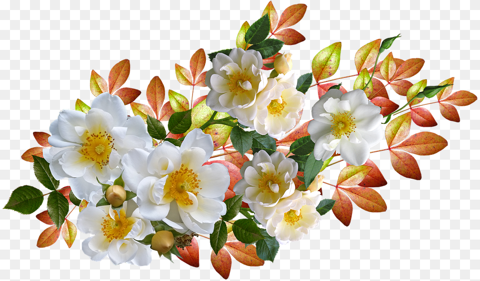 Roses Flowers Autumn Leaves Arrangement Cut Out Automne En, Anemone, Flower, Flower Arrangement, Flower Bouquet Free Png Download