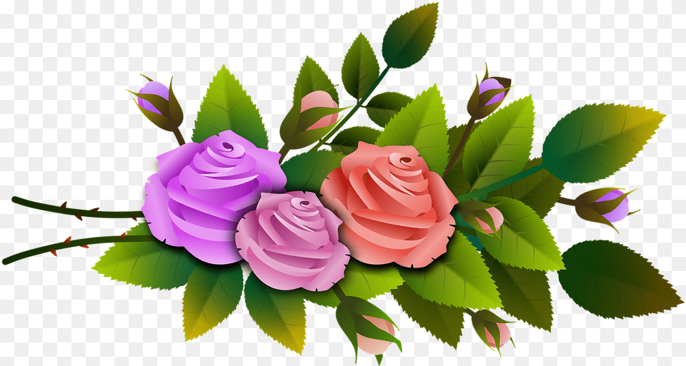 Roses Flowers Bouquet Branch Floral Flowery Ramos De Flores, Art, Flower, Graphics, Plant Free Png Download