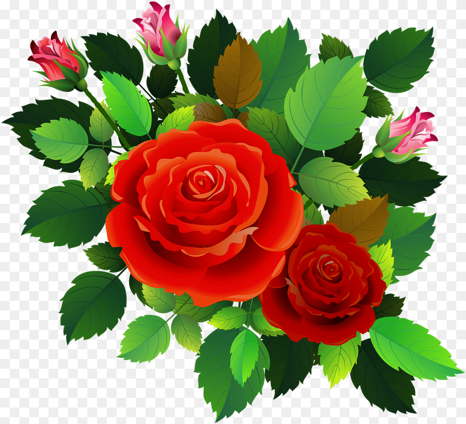 Roses Flowers Floral Image On Pixabay Romantic Rose Images Hd Download, Flower, Flower Arrangement, Flower Bouquet, Plant Free Png