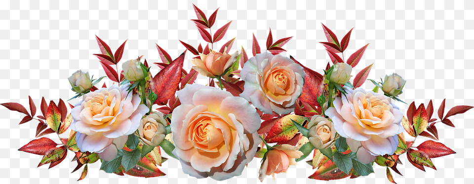 Roses Flowers Leaves Nandina Autumn Arrangement Garden Roses, Rose, Plant, Flower, Flower Arrangement Free Transparent Png