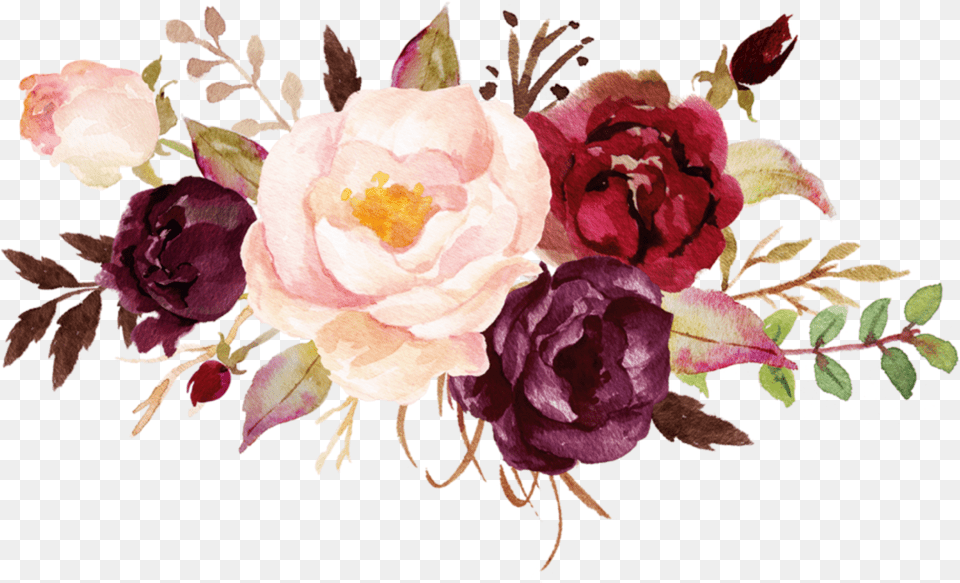 Roses Flowers Renaissance Burgundy Watercolor Flowers, Art, Floral Design, Flower, Flower Arrangement Png Image