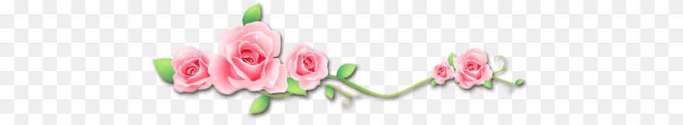 Roses Flowers Vinesandleaves Divider Header Textline Garden Roses, Flower, Plant, Rose Free Png