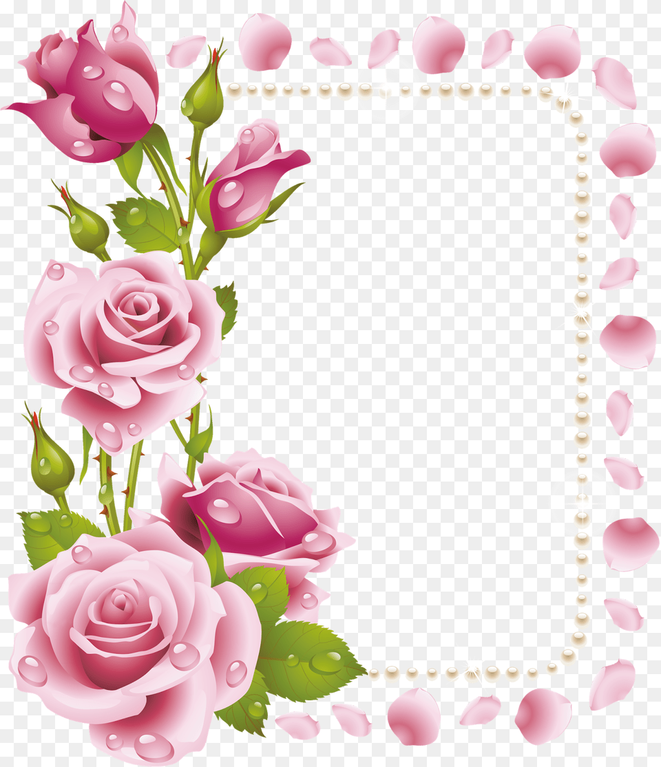Roses Frame, Flower, Plant, Rose, Petal Png Image