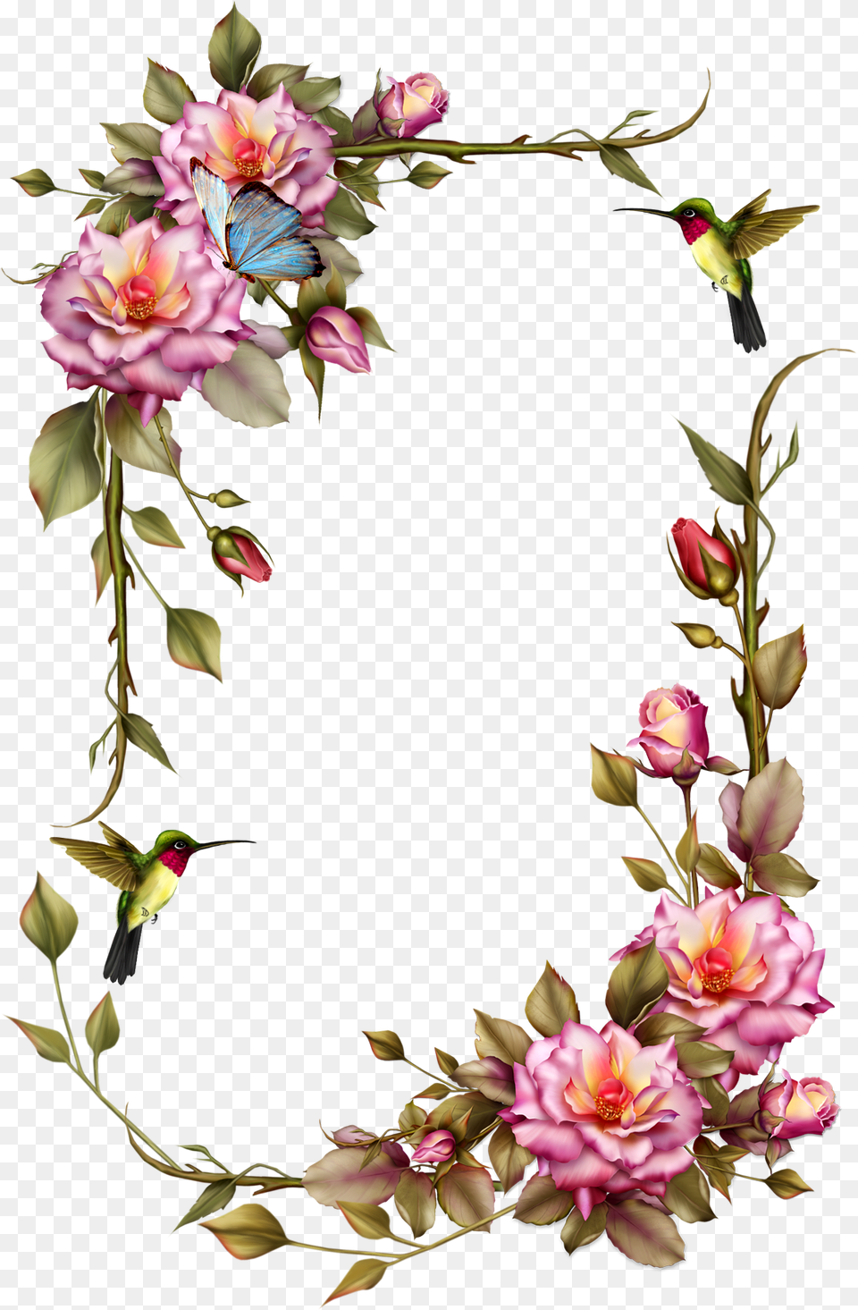 Roses Frame With Humming Bird Flower Frame, Rose, Plant, Flower Arrangement, Pattern Free Png Download