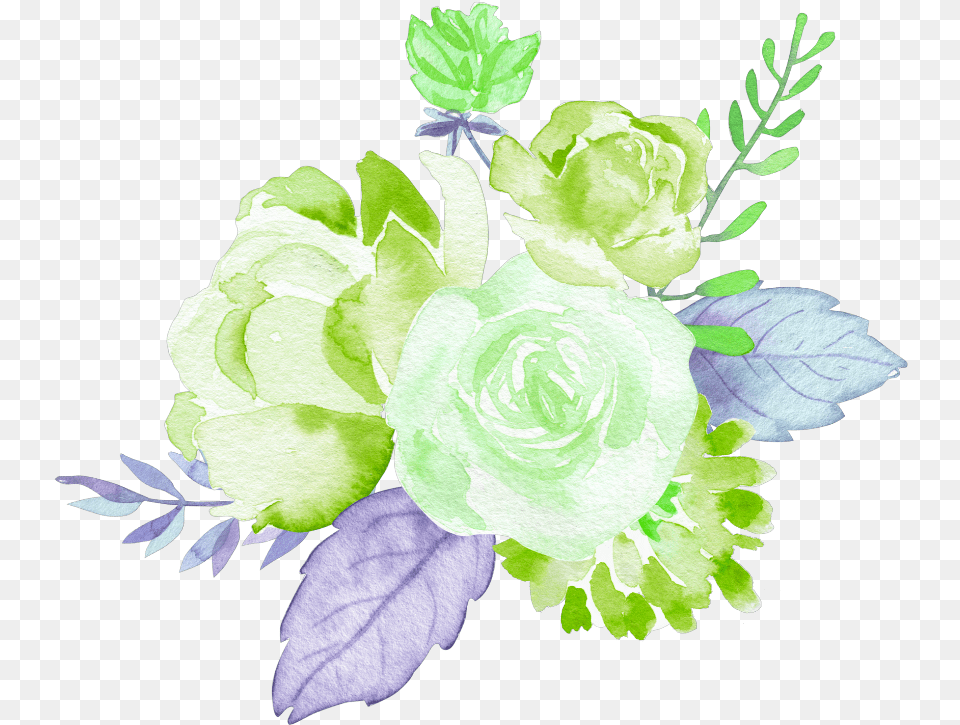 Roses Green Garden Flowers Watercolor Garden Roses, Art, Plant, Pattern, Graphics Free Png Download