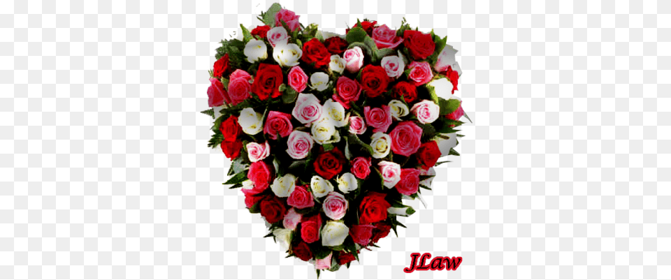 Roses Heart Psd Vector Graphic Vectorhqcom Heart Shaped Roses, Rose, Plant, Flower Bouquet, Flower Arrangement Free Png Download