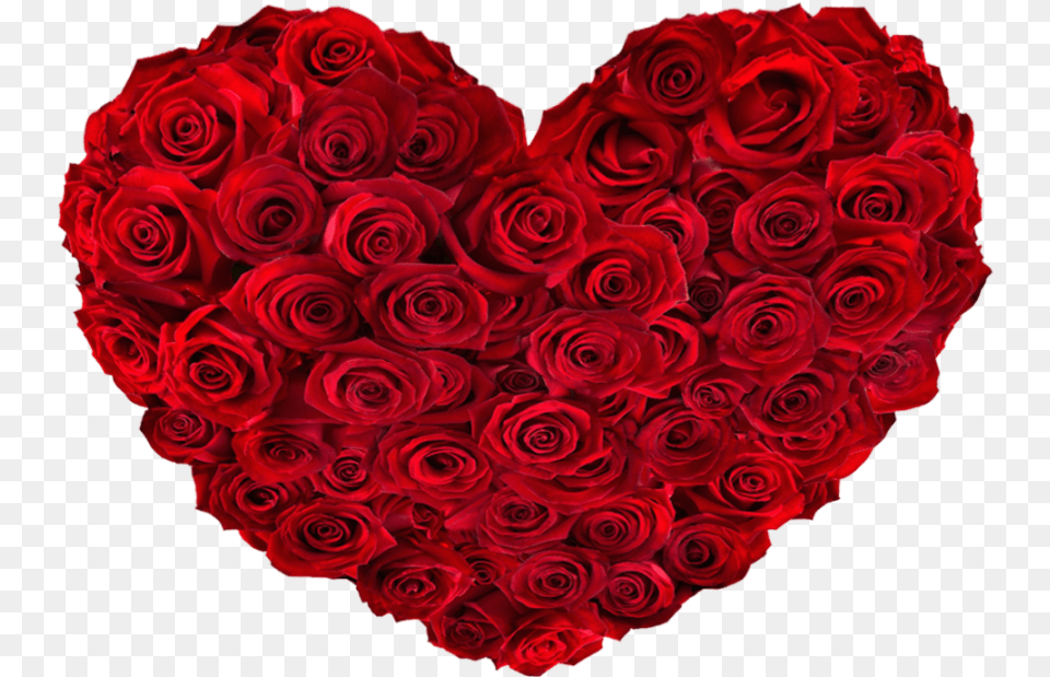 Roses Heart Rose Heart, Flower, Plant, Symbol Free Png Download