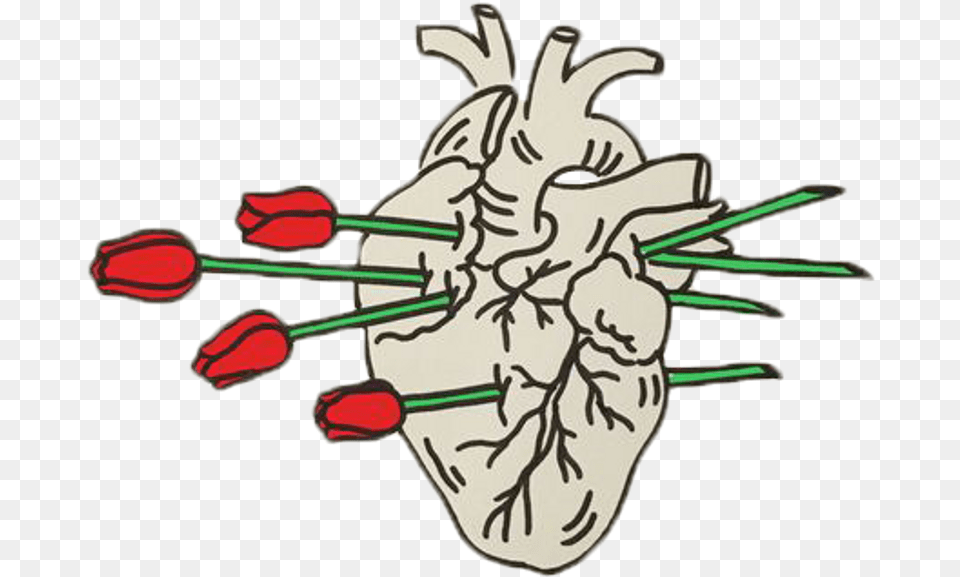 Roses Heartbreak Relationship Aesthetic Red Tumblr Aesthetic Broken Heart, Flower, Plant, Person Png