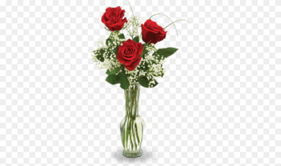 Roses In Vase, Plant, Pottery, Rose, Flower Bouquet Png