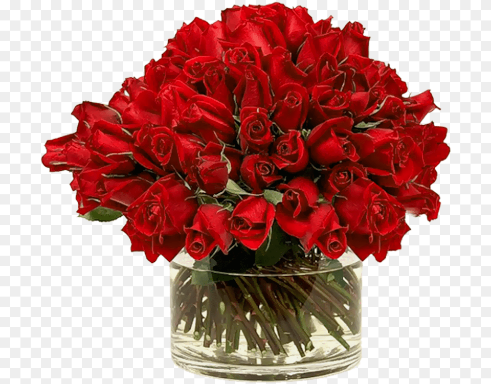 Roses In Vase, Flower, Flower Arrangement, Flower Bouquet, Plant Png