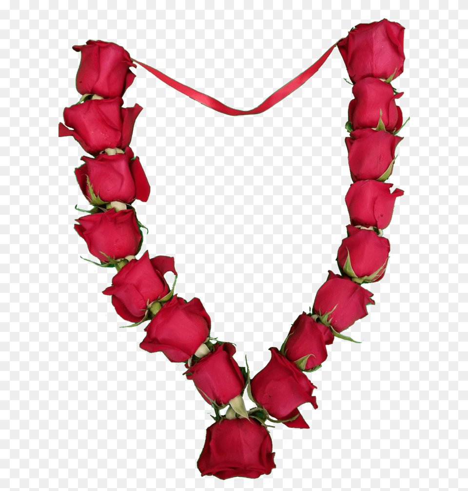 Roses Necklace, Accessories, Flower, Jewelry, Petal Png