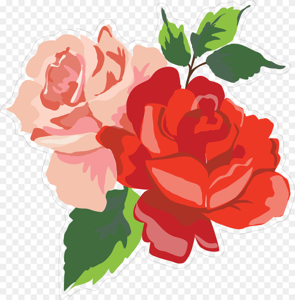 Roses Print Amp Cut File Garden Roses, Carnation, Flower, Plant, Rose Free Png