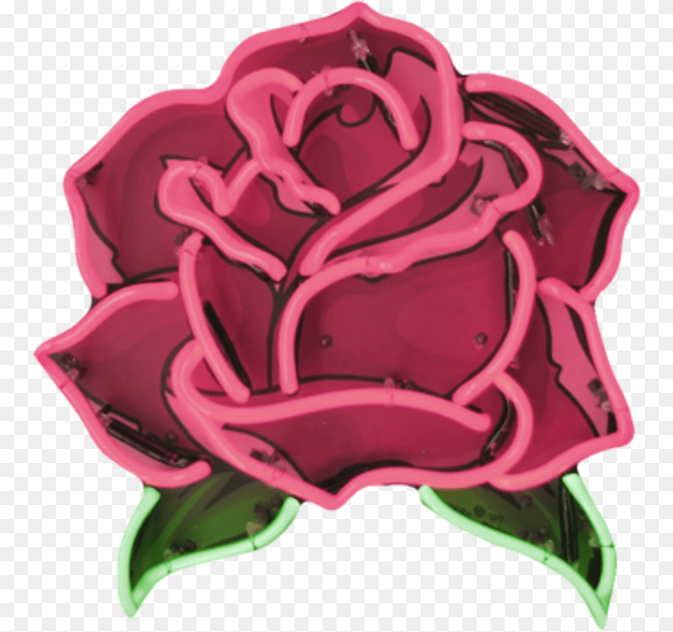 Roses Rosa Flor Flower Led Tumblr Neon Rose Sticker Transparent, Plant, Petal, Icing, Food Png
