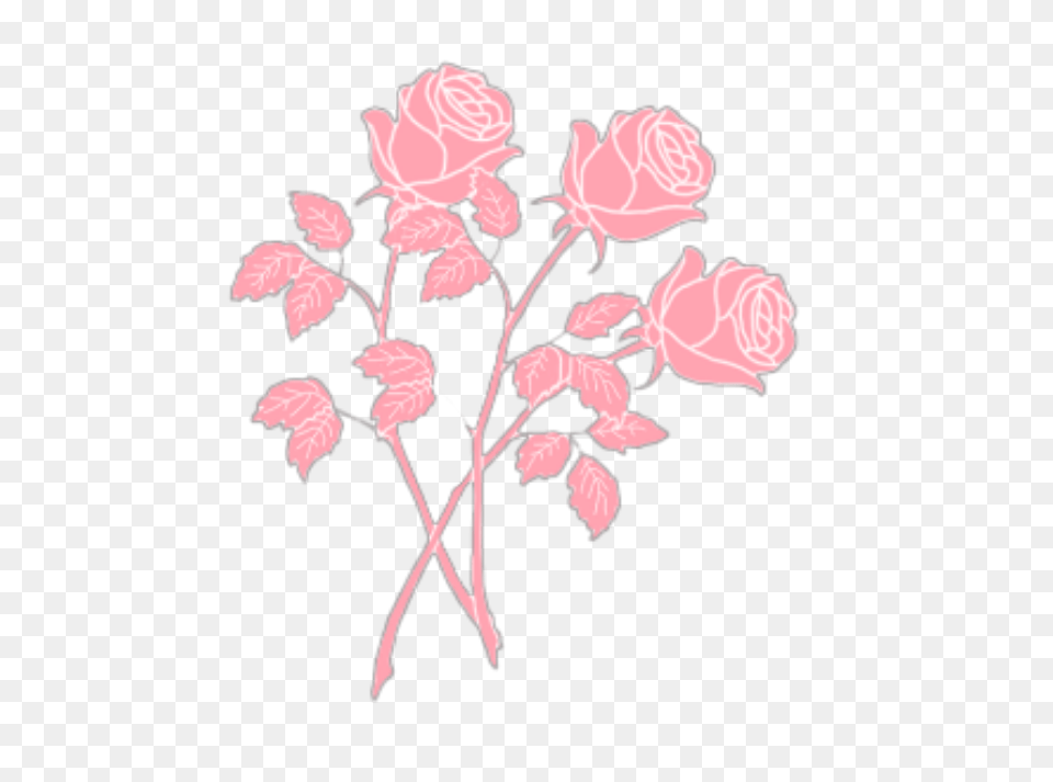 Roses Rose Pink Pastel Pastelpink Aesthetic Tumblr Plan, Flower, Plant, Pattern, Carnation Png Image