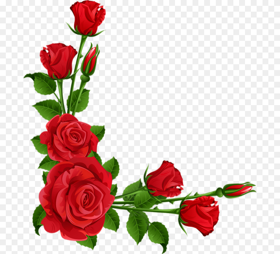 Roses Rouges Coin Tube Red Roses Clipart Floribunda, Flower, Plant, Rose, Flower Arrangement Free Transparent Png