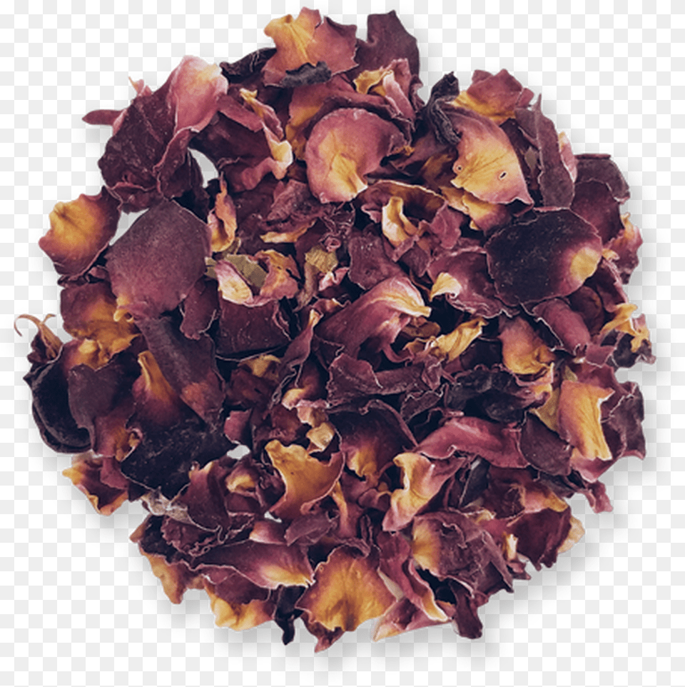 Roses Sea Vegetables, Flower, Flower Arrangement, Flower Bouquet, Petal Png