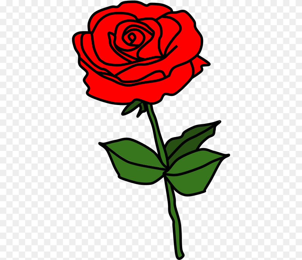 Roses U2013 Clipartshare Floribunda, Flower, Plant, Rose, Dynamite Png