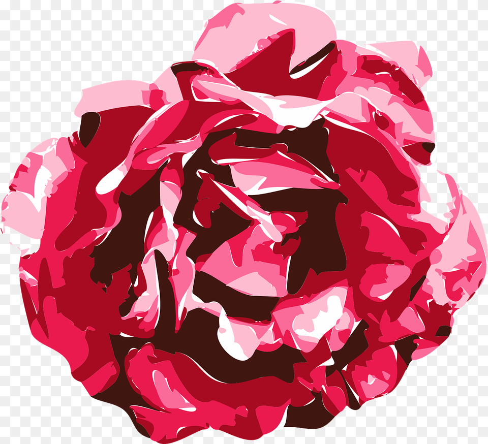 Roses Vector Drawing, Flower, Petal, Plant, Rose Free Png
