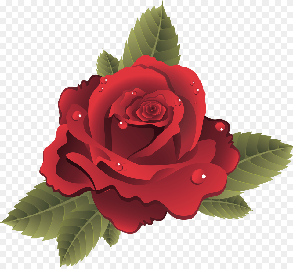 Roses Vector Files Flower Vector Graphics Rose Flower Vector, Plant, Bonfire, Fire, Flame Png