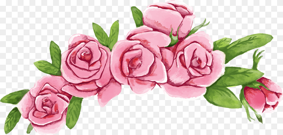 Roses Vector Flower Crown Vector, Plant, Rose, Flower Arrangement, Pattern Free Png Download