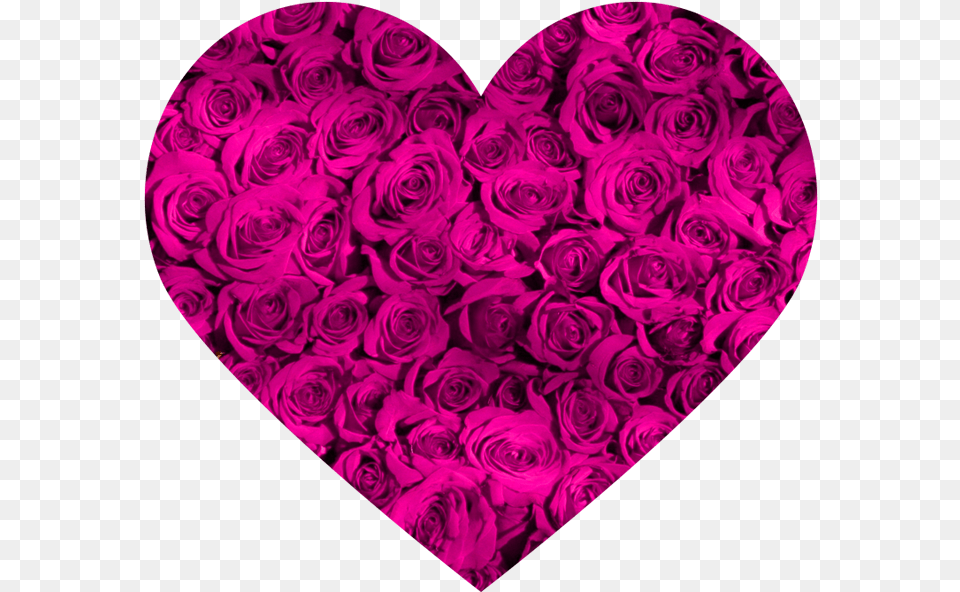 Roses Wallpaper Iphone X, Heart, Purple, Pattern Free Transparent Png