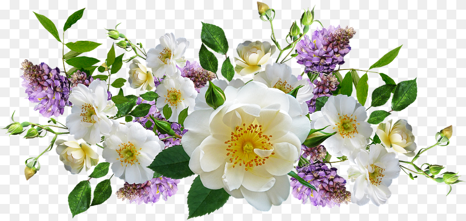 Roses Wisteria Flowers, Anemone, Flower, Flower Arrangement, Flower Bouquet Free Png