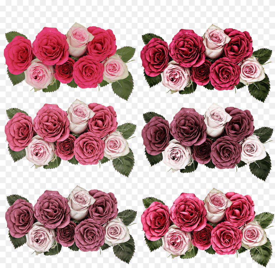 Rosesflowersrose Jardim De Flores, Rose, Plant, Flower, Flower Arrangement Free Png