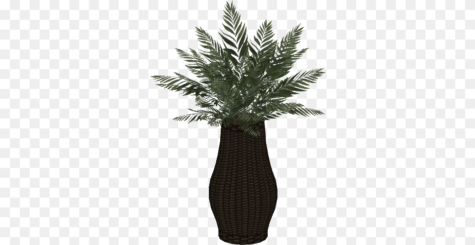 Rotan Planter 6 Wiki, Palm Tree, Plant, Potted Plant, Pottery Png