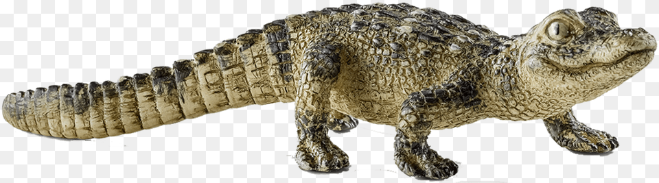 Rotate Resize Tool Drawing Schleich Crocodile Babies, Animal, Lizard, Reptile Png Image