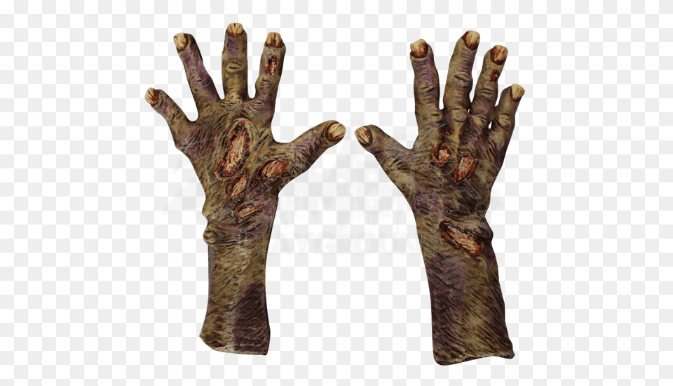 Rotted Zombie Gloves, Hand, Body Part, Person, Finger Free Png Download