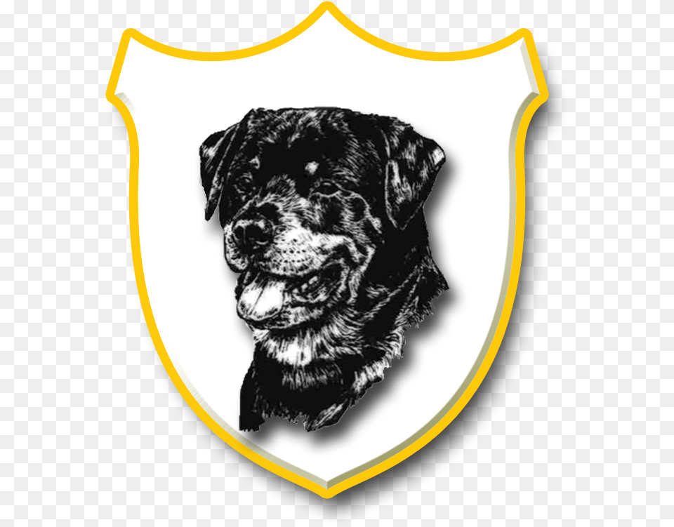 Rottweiler, Animal, Canine, Dog, Mammal Free Png