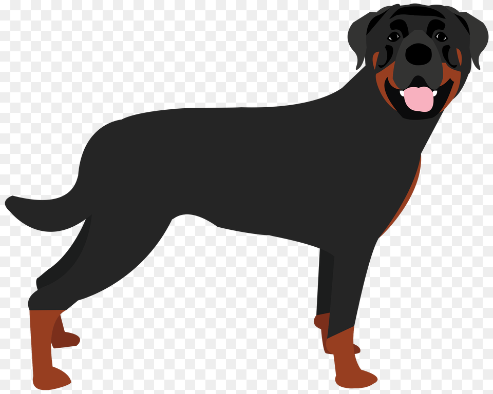 Rottweiler, Animal, Canine, Dog, Labrador Retriever Png Image