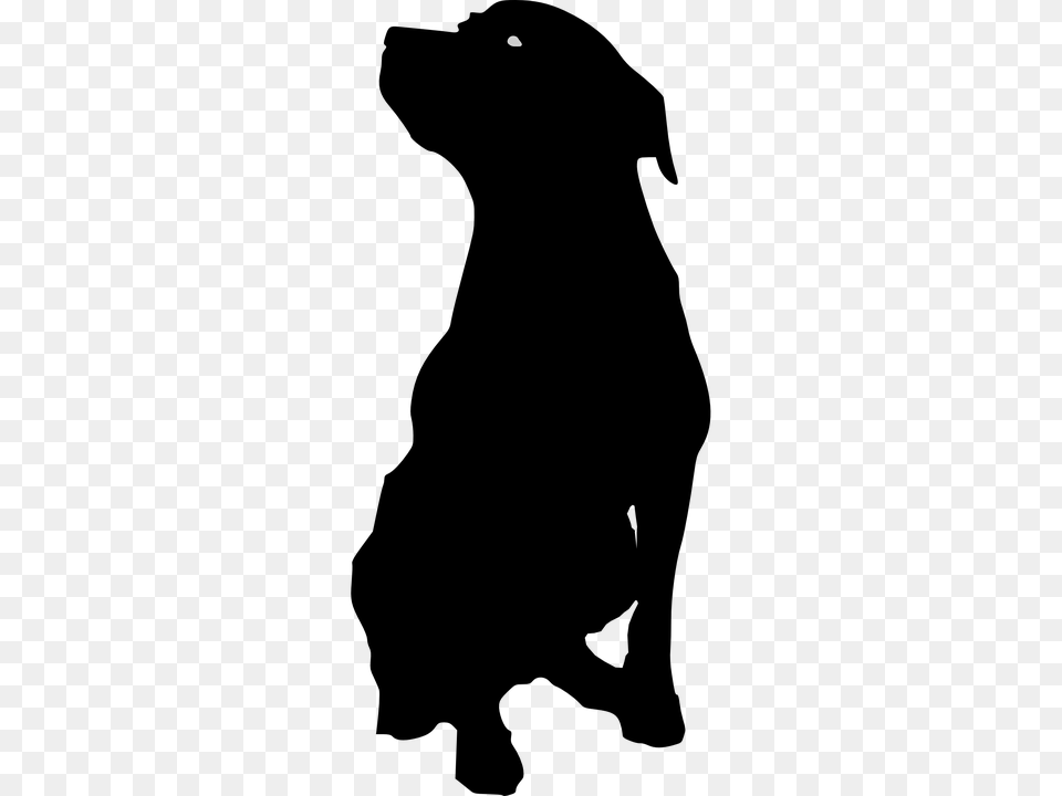 Rottweiler Black And White Transparent Rottweiler Black, Lighting, Gray, Nature, Night Png